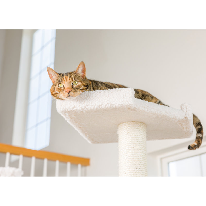 Armarkat 78" Premium Classic Real Wood Jackson Galaxy Approved Cat Tree & Reviews Wayfair